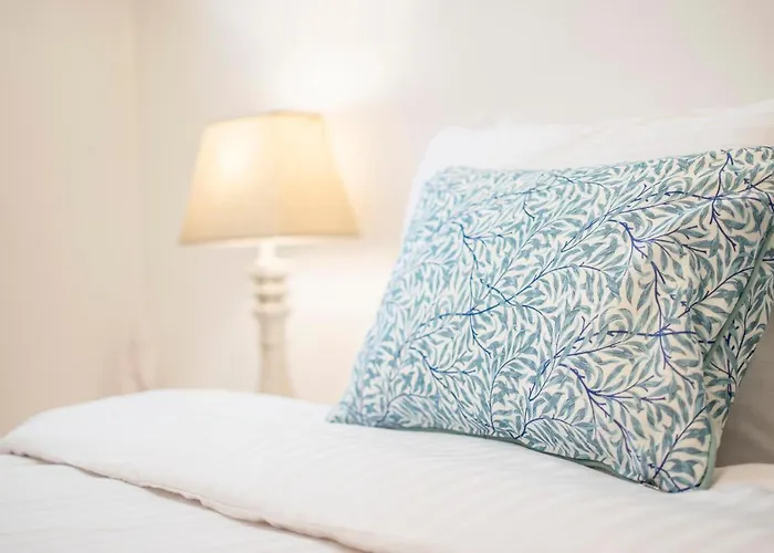 Salvatore * 이메로비글리